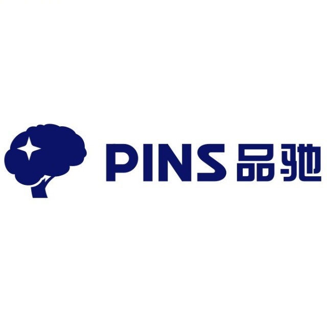 品驰医疗 企业 Logo