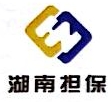 湖南省融资担保集团有限公司 企业 Logo